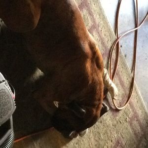 Meet your Posher, Michael